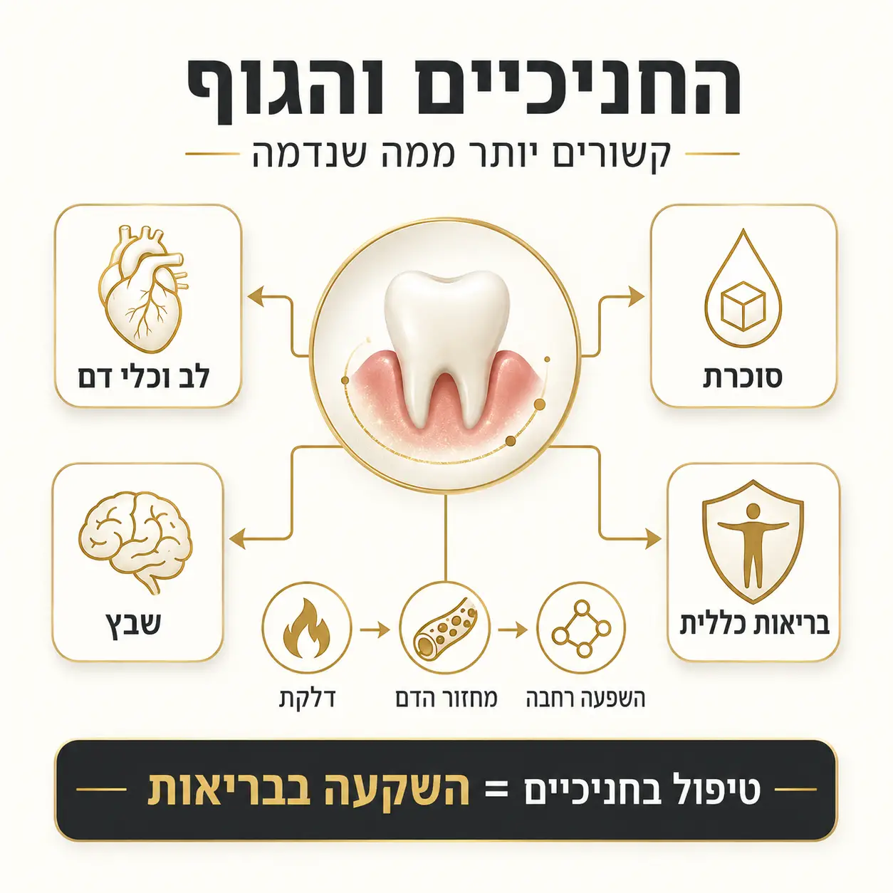 בריאות החניכיים | אינפוגרפיקה