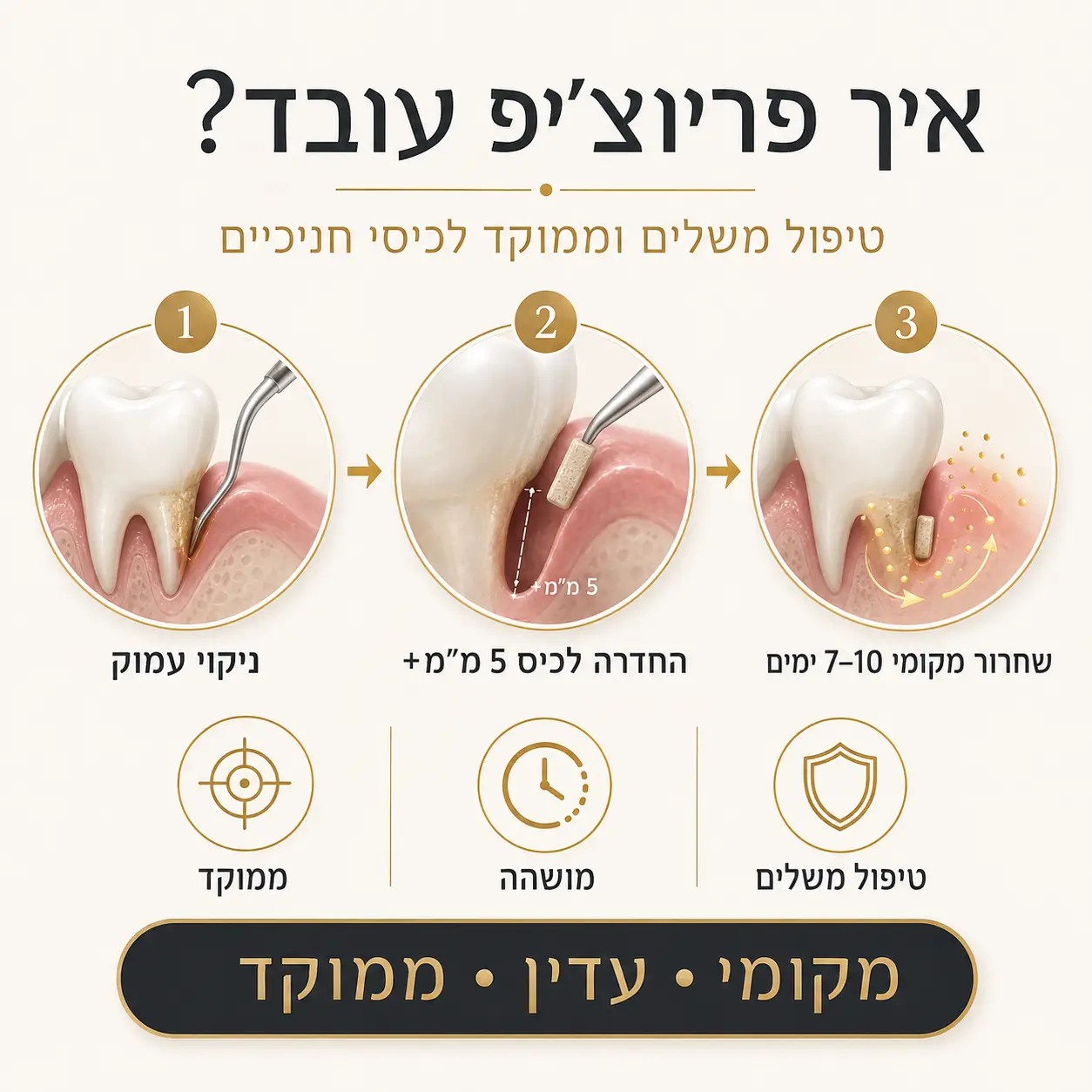 פריוצ׳יפ | אינפוגרפיקה