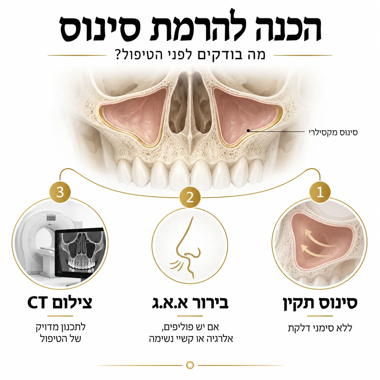 השתלת עצם והרמת סינוס | אינפוגרפיקה